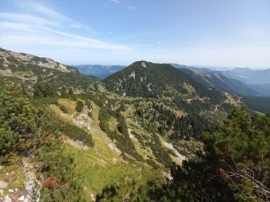 Blick auf die Hänge der Wurzeralm. Wald und Wiesen wechseln sich ab.